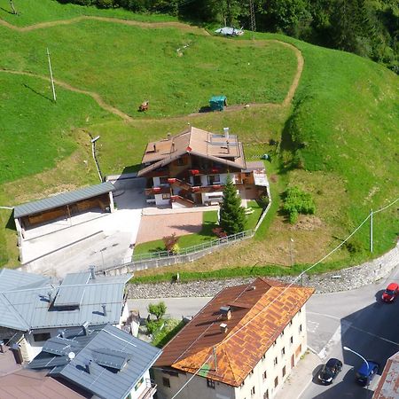 Appartamenti Patrizia San Pietro di Cadore Exterior foto