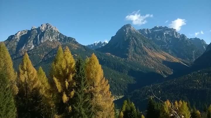 Appartamenti Patrizia San Pietro di Cadore Habitación foto
