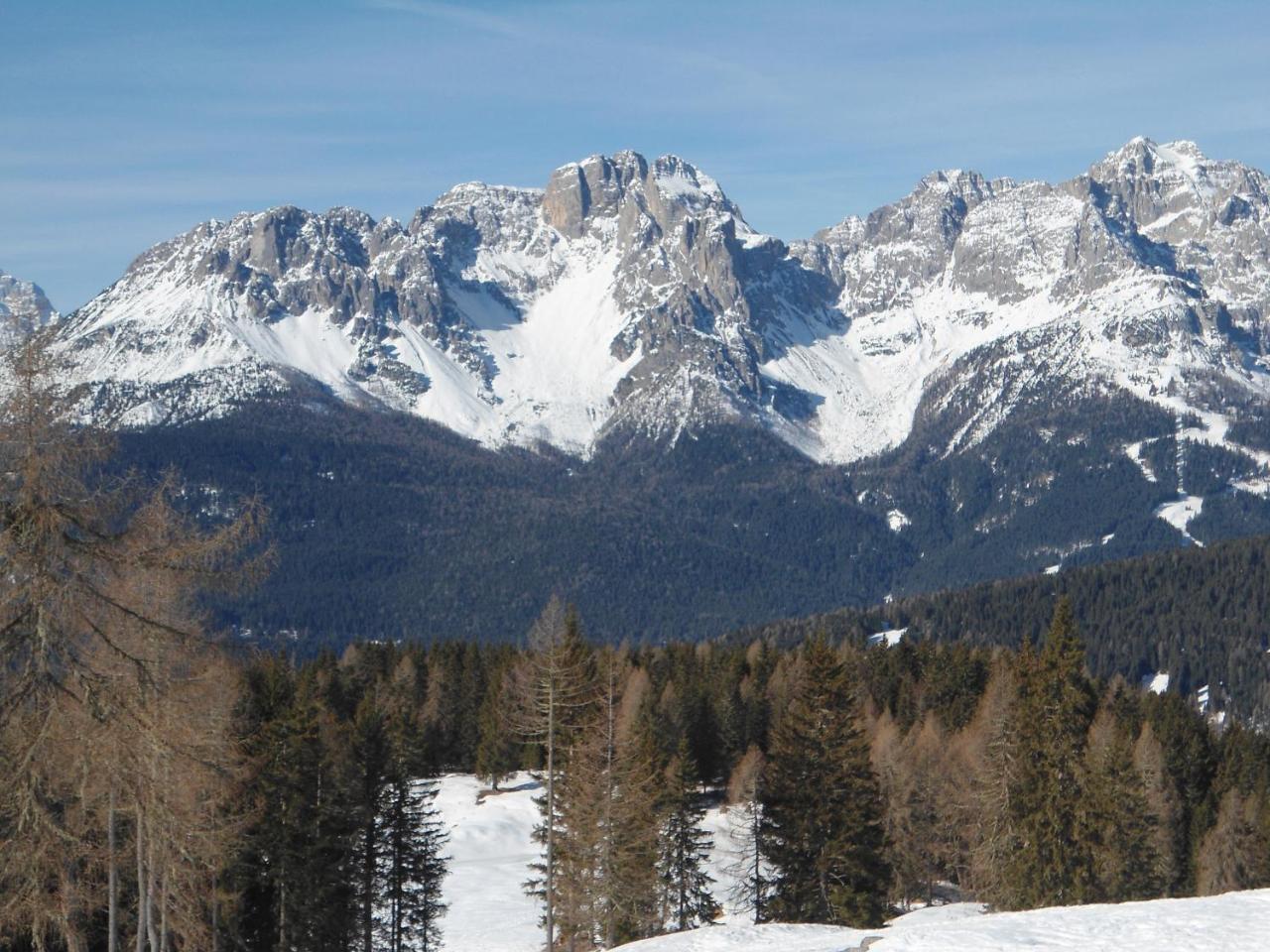 Appartamenti Patrizia San Pietro di Cadore Exterior foto
